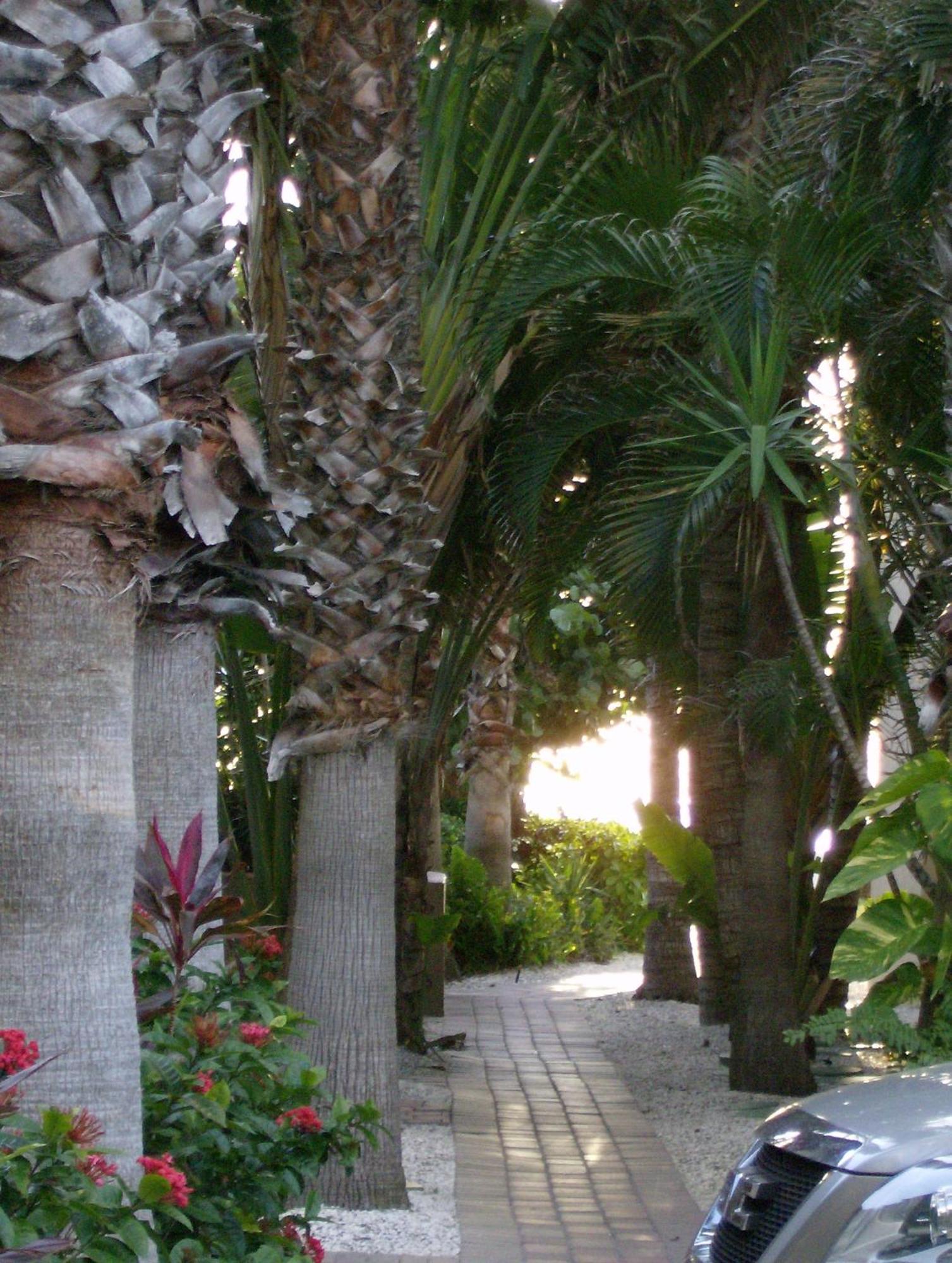 Turtle Crawl Inn - Longboat Key Buitenkant foto